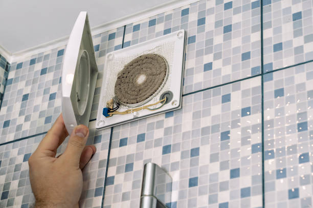 Best Air Duct Mold Removal  in Sunbury, PA