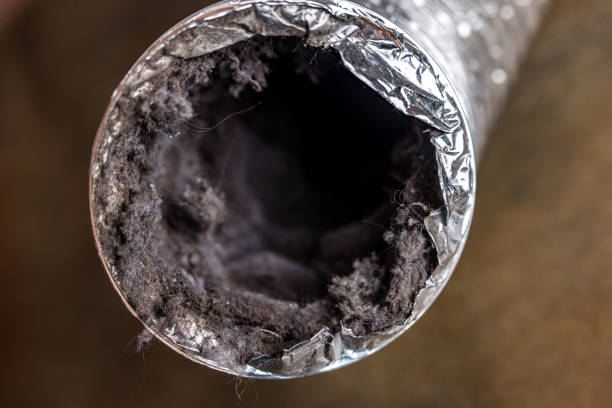 Best Emergency Air Duct Cleaning  in Sunbury, PA