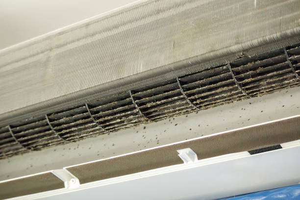 Best Air Duct Cleaning Near Me  in Sunbury, PA